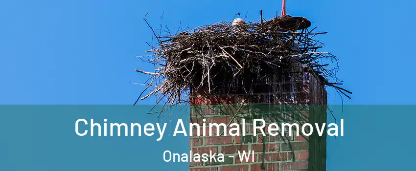  Chimney Animal Removal Onalaska - WI