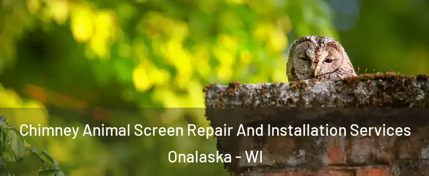  Chimney Animal Screen Repair And Installation Services Onalaska - WI