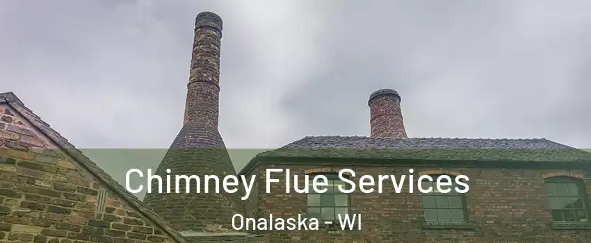  Chimney Flue Services Onalaska - WI