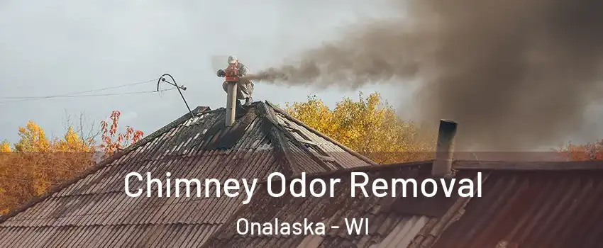  Chimney Odor Removal Onalaska - WI