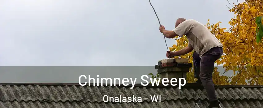 Chimney Sweep Onalaska - WI