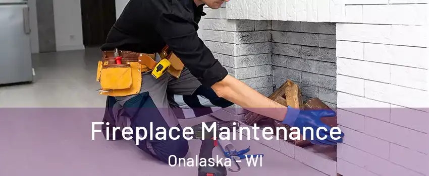  Fireplace Maintenance Onalaska - WI