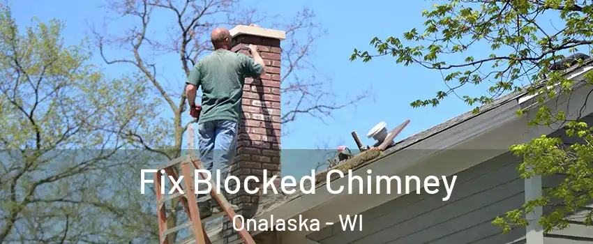 Fix Blocked Chimney Onalaska - WI