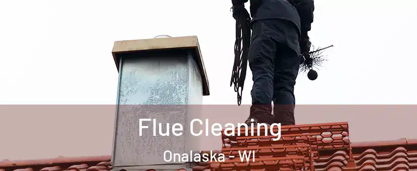 Flue Cleaning Onalaska - WI