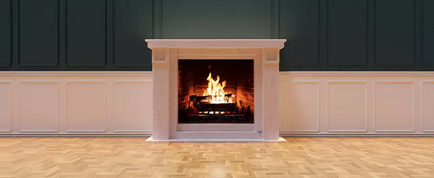 Napoleon Electric Fireplaces Inspection Service in Onalaska, Wisconsin