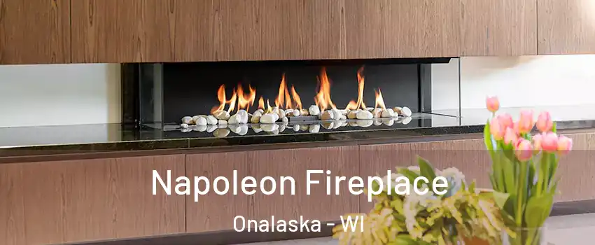  Napoleon Fireplace Onalaska - WI